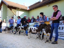 2019_ausstellung polling_766